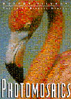 photomosaics cover
